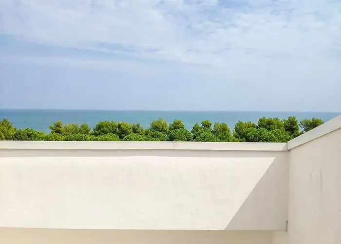 Homiday - Cerrano Park *